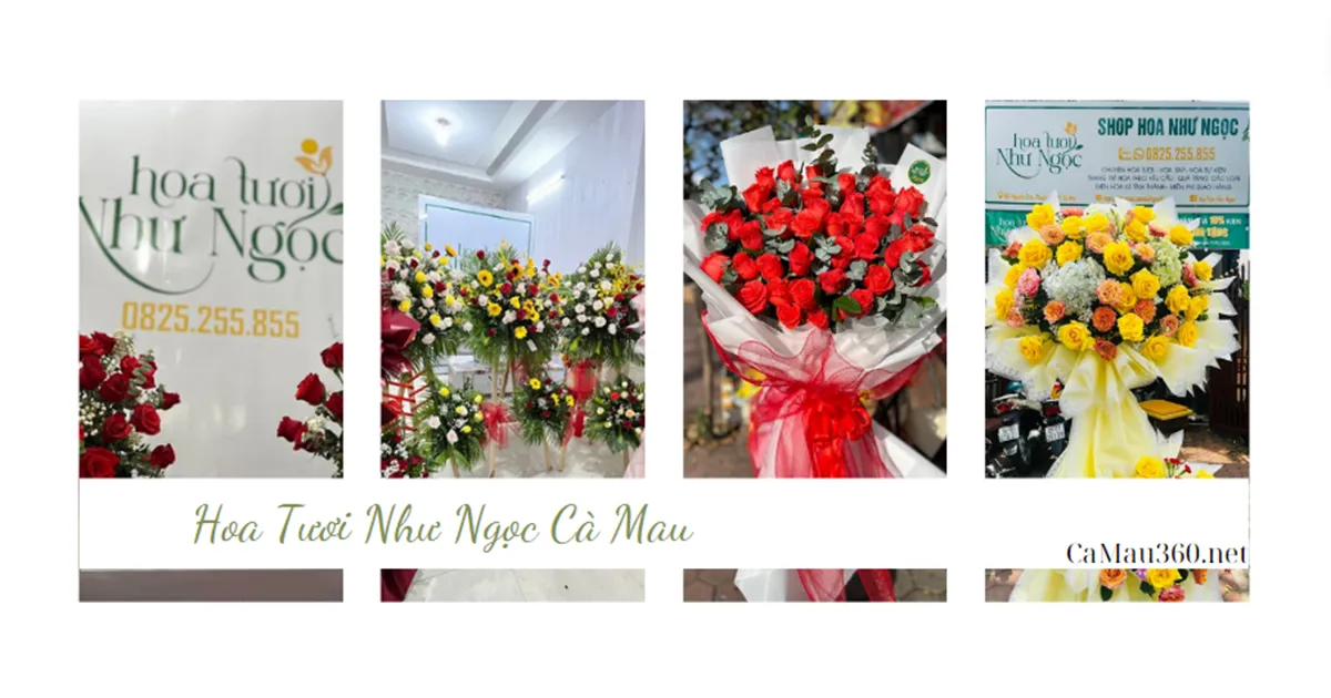  Hoa tươi Như Ngọc Cà Mau