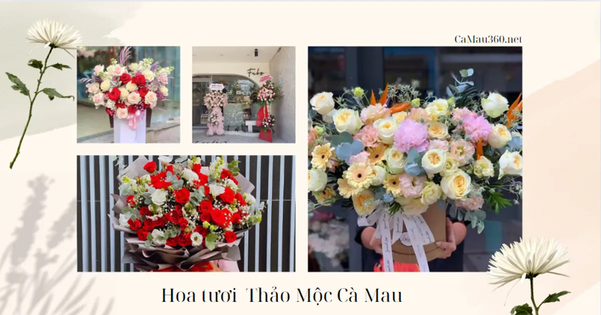 Hoa Tươi Thảo Mộc Cà Mau