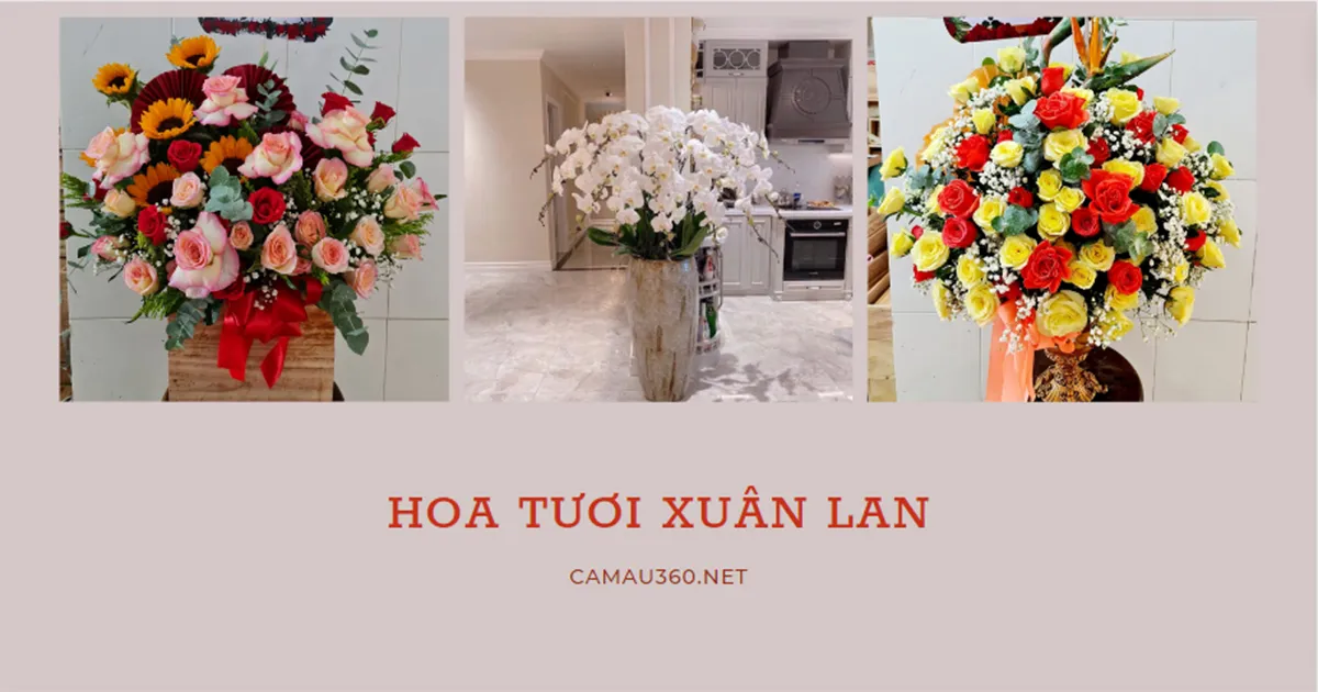  Hoa tươi Xuân Lan Cà Mau