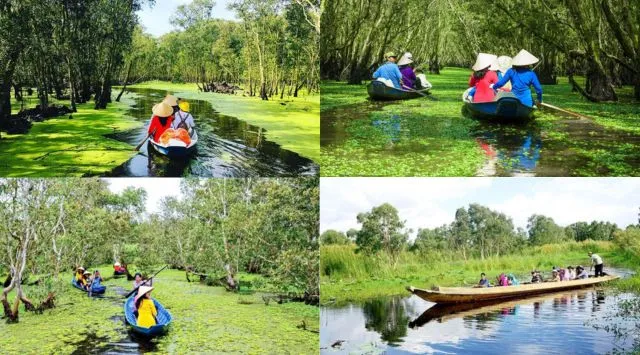 Tham quan rừng tràm bằng thuyền