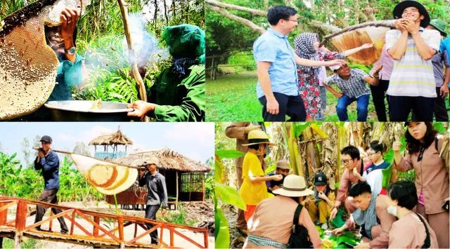 Tham gia thu hoạch ong rừng