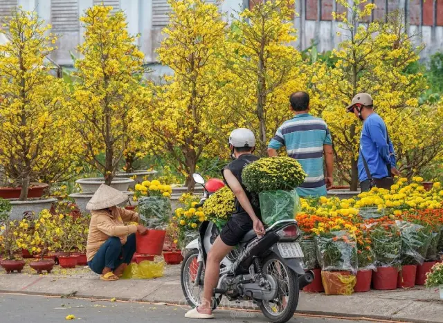 Chợ hoa xuân