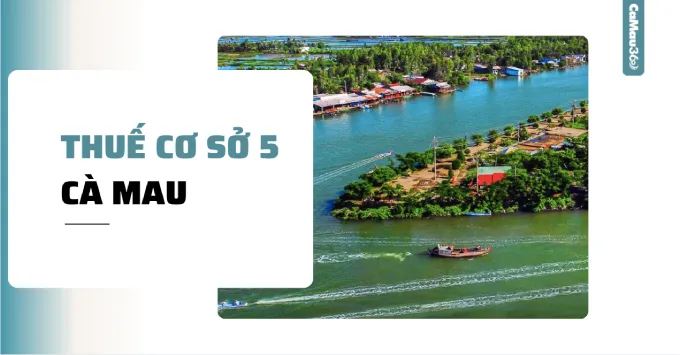 Trụ sở, Địa bàn quản lý của Thuế cơ sở 5 tỉnh Cà Mau 2025