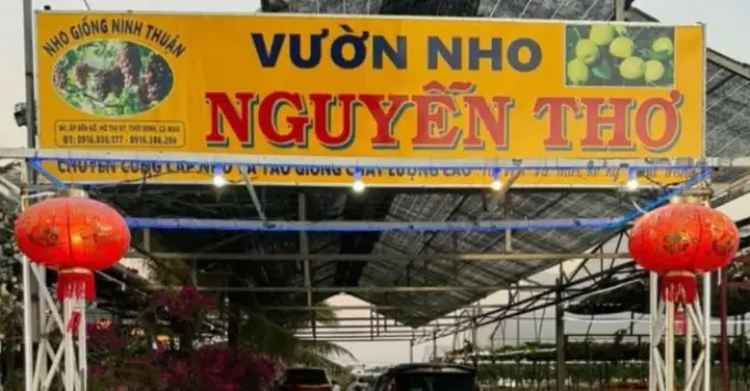 Vườn nho Nguyễn Thơ Cà Mau ở đâu? Tất tần tật từ A-Z