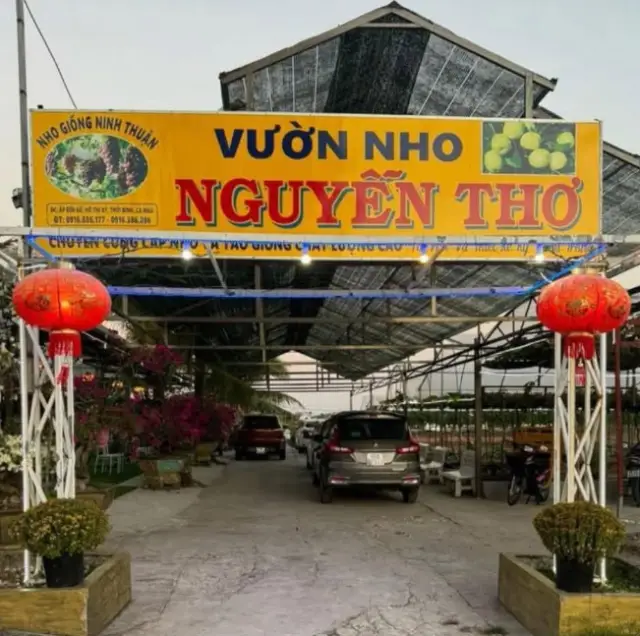Vườn nho Nguyễn Thơ Cà Mau ở đâu?