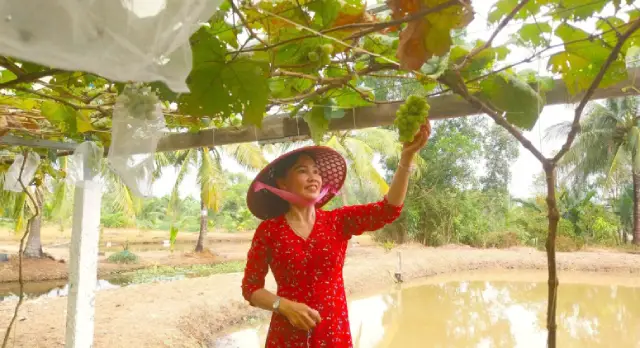 Tham quan và check in khu vườn